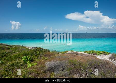 Panoramablick auf die Südküste in Isla Mujeres Mexiko. Im Hintergrund das türkisfarbene und transparente karibische Meer. Reise- und Urlaubskonzept Stockfoto