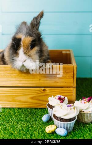 Kleiner Hase im Korb mit dekorierten Eiern und Osterkuchen - Osterkarte. Stockfoto