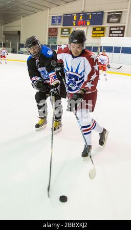 Die Eishockeymannschaft der CBP/EISHOCKEY besiegt die Eishockeymannschaft von Homeland Security mit 4-2 in der ersten Runde der World Police and Fire Games, die am 27. Juni 2015 in Reston Virginia ausgetragen wurde. Die Spiele locken über 10.000 Teilnehmer an den Wettbewerb. Stockfoto