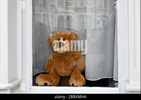 Der Teddybär, der aus einem Fenster rast und darauf wartet, dass ein vorbeigehendes Kind es bei der "Bärenjagd" während der Coronavirus-Pandemie erspähen kann. Stockfoto