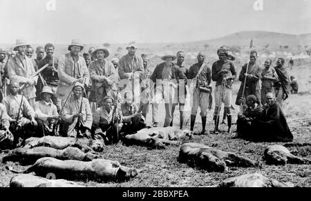 Geschäftsmann, Jäger und Philanthrop Paul James Rainey (1877-1923) und afrikanische Männer mit toten Tieren (Löwen?) In Afrika ca. 1910-1915 Stockfoto