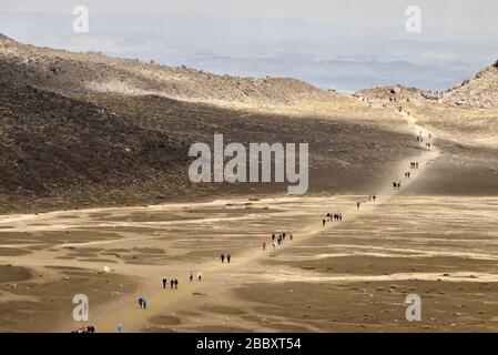 Wanderer, die auf dem Tongariro Alpine Crossing Track, Neuseeland, spazieren gehen Stockfoto