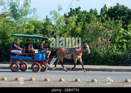 Pferdewagen, der die Menschen von der Fähre nach Ciudad Nuclear, Cienfuegos, Kuba, transportiert Stockfoto