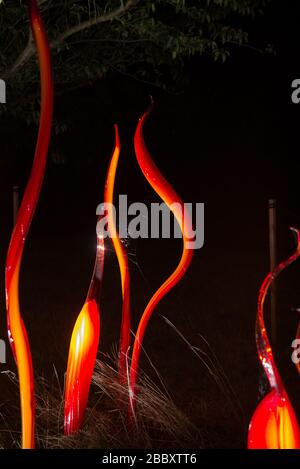 Cattails and Copper Birch Reeds Chihuly Nights Reflections on Nature Bunte Bright Display Event Winter 2019 in Kew Gardens, Richmond, London Stockfoto