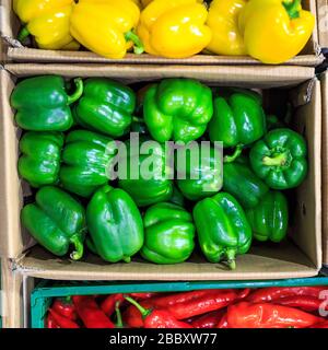Pappkartons mit gelbgrünen und roten Paprika auf Märkten Stockfoto