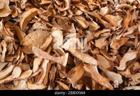 Textur von getrockneten Steinpilzen in flachem Laienwinkel. Stockfoto