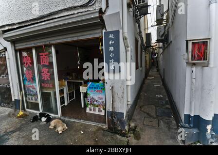 Chinesisches Restaurant mit zwei Straßenhunden vor der Tür, Shanghai Old Town, Huangpu. China Stockfoto