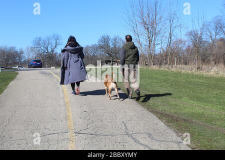 Mann und Frau, die einen Hund auf dem North Branch Trail im Bunker Hills Woods in Chicago gehen Stockfoto