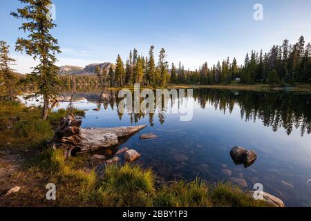 Morgen am Mirror Lake, Wasatch-Cache National Forest, Uinta Mountains, Utah Stockfoto