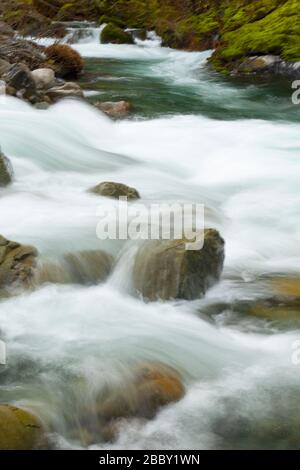 Middle Fork Smith River, Smith River National Recreation Area, Smith Wild and Scenic River, sechs Flüssen National Forest, Kalifornien Stockfoto