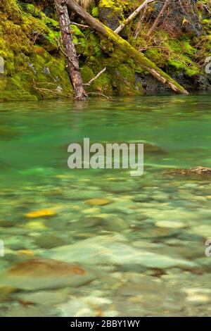 Middle Fork Smith River, Smith River National Recreation Area, Smith Wild and Scenic River, sechs Flüssen National Forest, Kalifornien Stockfoto