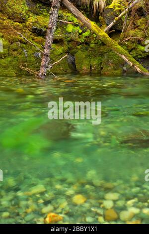 Middle Fork Smith River, Smith River National Recreation Area, Smith Wild and Scenic River, sechs Flüssen National Forest, Kalifornien Stockfoto