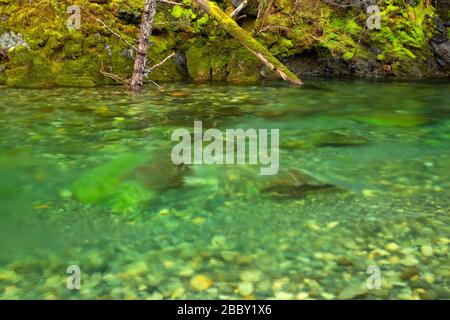 Middle Fork Smith River, Smith River National Recreation Area, Smith Wild and Scenic River, sechs Flüssen National Forest, Kalifornien Stockfoto