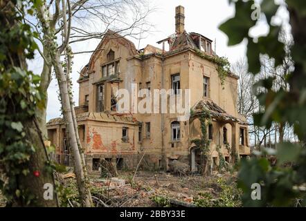 Leipzig, Deutschland. März 2020. Das Grundstück rund um die baufällige Villa an der Hans-Driesch-Straße 17 wurde bereits in Vorbereitung geräumt und teilweise geräumt. In der Villa des Fabrikbesitzers, die im Jahr 1909 erbaut wurde, war zwischenzeitlich auch das Generalkonsulat Panamas untergebracht. Frei seit den 1990er Jahren und dem Verfall ausgesetzt, war spätestens 2011 ein Dachstuhlbrand das Todesurteil für das Gebäude ohne Eigentümer. Jetzt plant ein Investor einen Neubau von zwei Mehrfamilienhäusern mit 20 Wohnungen auf dem Grundstück. Kredit: Jan Woitas / dpa-Zentralbild / ZB / dpa / Alamy Live News Stockfoto