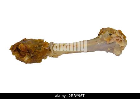 Hühnerknochen auf weißem Grund. Stockfoto