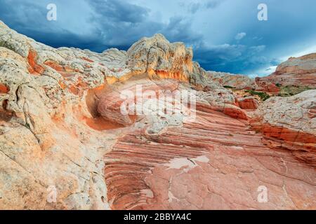 Canyon White Pocket, Vermilion Cliffs, Arizona Stockfoto