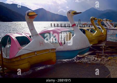 Mehrere Schwanenboote parken am Rande eines Sees Stockfoto