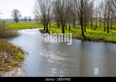 Der Fluss Waveney befindet sich in der Nähe des bankvollen Zustandes und blickt nach Westen auf die Grenze zu Mendham, Suffolk und Norfolk, England, Großbritannien Stockfoto