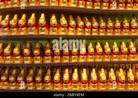 Osterhasen Schokoladenverpackung in goldener Aluminiumfolie auf Speicherfenster Stockfoto