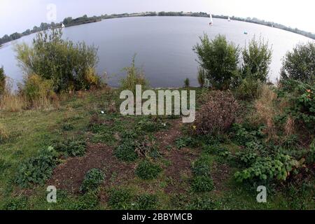 Allgemeiner Blick auf den See. Fairlop Waters Country Park, Fairlop Stockfoto