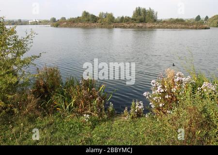 Allgemeiner Blick auf den See. Fairlop Waters Country Park, Fairlop Stockfoto