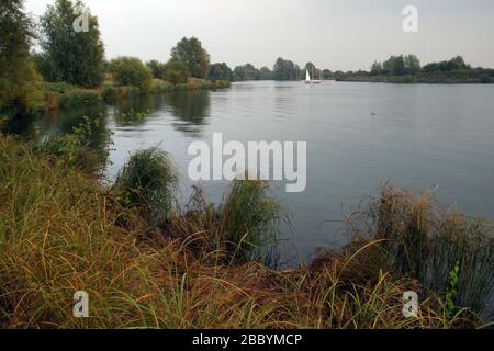 Allgemeiner Blick auf den See. Fairlop Waters Country Park, Fairlop Stockfoto