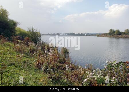 Allgemeiner Blick auf den See. Fairlop Waters Country Park, Fairlop Stockfoto