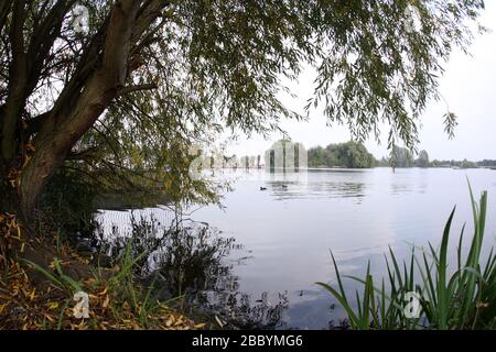 Allgemeiner Blick auf den See. Fairlop Waters Country Park, Fairlop Stockfoto