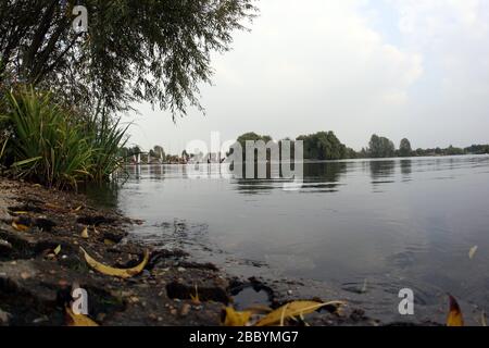 Allgemeiner Blick auf den See. Fairlop Waters Country Park, Fairlop Stockfoto