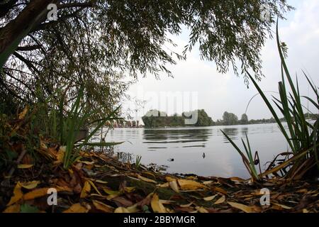 Allgemeiner Blick auf den See. Fairlop Waters Country Park, Fairlop Stockfoto