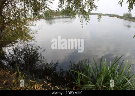 Allgemeiner Blick auf den See. Fairlop Waters Country Park, Fairlop Stockfoto