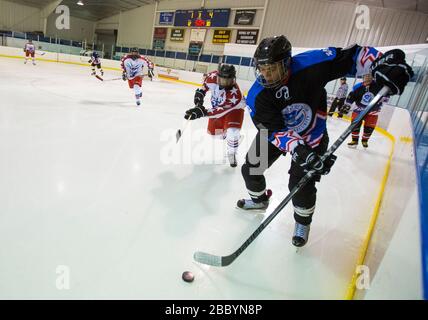 Die Eishockeymannschaft der CBP/EISHOCKEY besiegt die Eishockeymannschaft von Homeland Security mit 4-2 in der ersten Runde der World Police and Fire Games, die am 27. Juni 2015 in Reston Virginia ausgetragen wurde. Die Spiele locken über 10.000 Teilnehmer an den Wettbewerb. Stockfoto