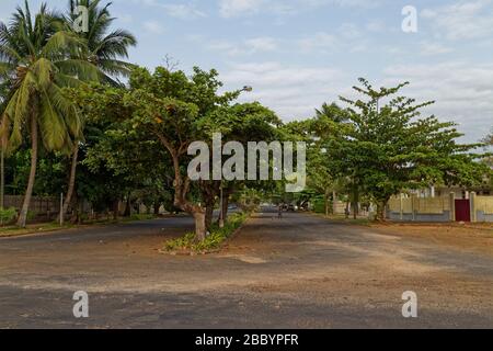 Eine von Bäumen gesäumte Allee mit einer zentralen Reservierung, direkt an der Strandpromenade, die von einem Mann mit einem Pinsel gefegt wird. Stockfoto