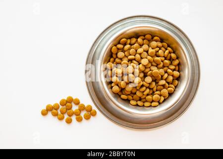 Katzen und Hunde trocknen Lebensmittel in Metallschale auf weißem Grund Stockfoto