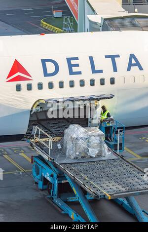 Schiphol, Niederlande - 16. Januar 2020: Verladen eines Frachtcontainers an Bord eines Delta-Airlines-Flugzeugs auf dem Flughafen Schiphol, Niederlande Stockfoto