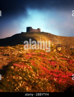 Altes polnisches Observatorium Weißer Elefant auf MT. PIP Ivan TOP. Die Berge der Frühlingskarpaten sind von rosafarbenen Rhodendron-Blumen bedeckt. Landschaftsfotografie Stockfoto