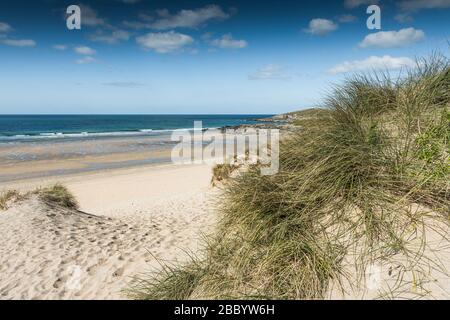 Marram Grass Ammophila arenaria wächst auf dem Sanddünensystem mit Blick auf einen menschenleeren Fistral Beach in Newquay in Cornwall. Stockfoto