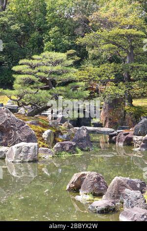 Japanischer Garten in Kyoto, Japan. Ninomaru Garten von Schloss Nijo. Stockfoto