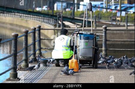 London, Großbritannien. April 2020 EIN Müllsammler - Schlüsselarbeiter -, der eine Hi-Vis-Jacke (Hi-Vis) trägt, füttert Vögel an der Themse in Twickenham mit Abfallkost. Wegen der Krise des Coronavirus Ausbruchs gibt es jetzt nur wenige Besucher, sodass er von hungrigen Tauben, Krähen und Enten umgeben war. Andrew Fosker/Alamy Live News Stockfoto