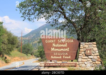 SPRINGVILLE, Vereinigte Staaten - 12 April 2014: Eingangsschild zu Giant Sequoia National Monument in Kalifornien. National Monument wurde 2000 erstellt und Stockfoto