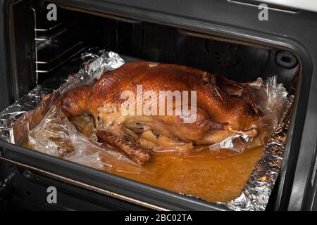 Gebackene Ente. Im Backofen mit knackiger Schärfe. Auf einem Backblech liegend. Stockfoto