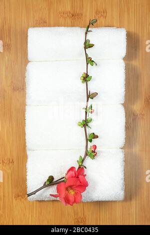 Beauty- und Spa-Konzept. Weiße Handtücher und rote Blume auf Bambusschale auf Marmorgrund. Flaches Lay. Stockfoto