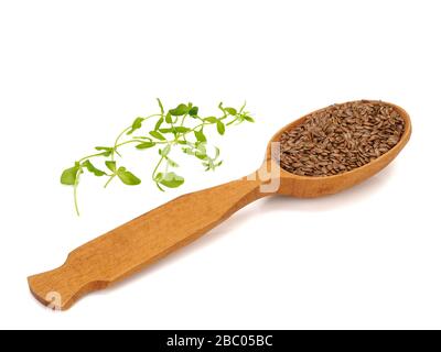 Flachssamen in einem Holzlöffel und Flachsprossen Stockfoto