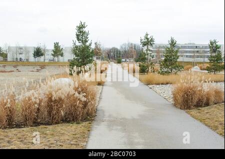 Der frisch bepflanzte Bereich zwischen Bodenseestraße, Centa-Hafenbrädl-Straße, Hans-Steinkohl- und Anton-Böck-Straße und Möbel Höffner soll die Versorgung mit Kaltluft im neu erbauten Stadtteil Freiham sicherstellen. [Automatisierte Übersetzung] Stockfoto