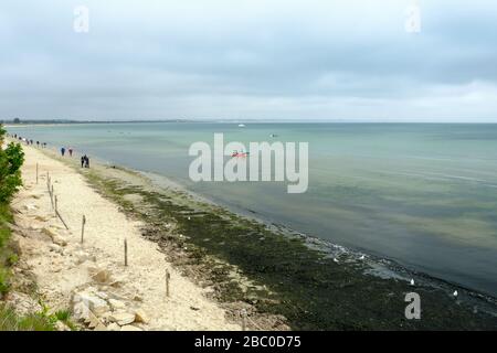 Seekayaker und Wanderer, die einen heißen Sommertag am Middle Beach in der Studland Bay, direkt vor dem Hafen von Poole in Dorset, Großbritannien, genießen Stockfoto