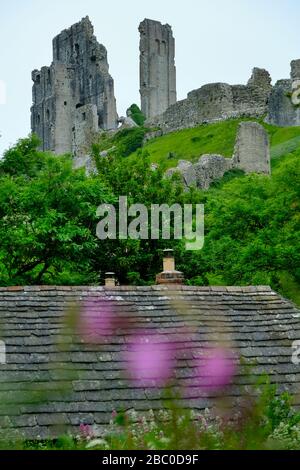 Corfe Castle, ein geplantes Antikendenkmal im Dorf Corfe bei Swanage auf der Insel Purbeck Dorset, Großbritannien Stockfoto