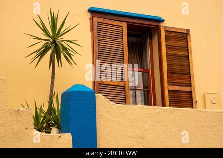 Südafrika, Kapstadt, Schotsche Knoof, Bo Kaap, Wale St, Palme, die auf einem Stoop aus farbenfroh bemaltem, restauriertem Haus mit Fensterläden wächst Stockfoto