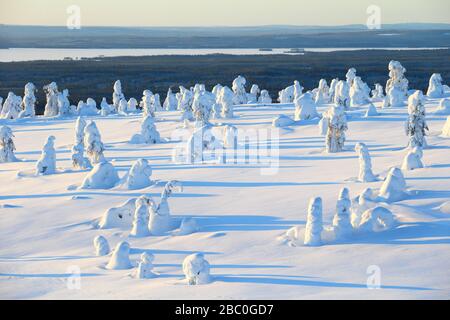 Sonnenaufgang im Riisitunturi Nationalpark, Lappland, Finnland Stockfoto