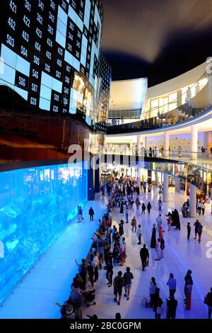 Die Menge, die das Aquarium in der gigantischen Dubai Mall im Stadtzentrum von Dubai, Vereinigte Arabische Emirate, beobachtet. Stockfoto