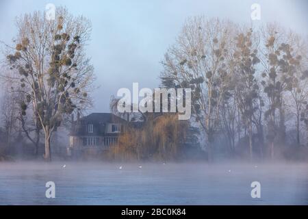 UFER DER SEINE IM MORGENNEBEL, LES-ANDELYS, (27) EURE, OBERE NORMANDIE, NORMANDIE, FRANKREICH Stockfoto